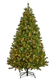 2.3M Christmas Tree with Lights - Evergreen